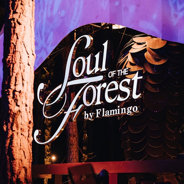 Soul Of The Forest lịch diễn