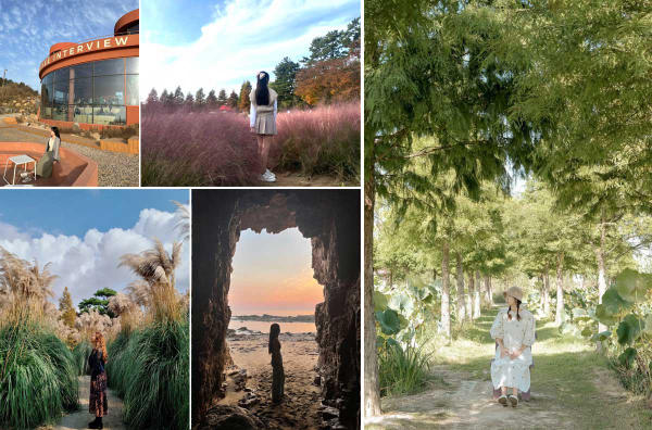 Taean - Địa điểm du lịch mùa thu Hàn Quốc nổi tiếng Taean - Địa điểm du lịch mùa thu Hàn Quốc nổi tiếng
