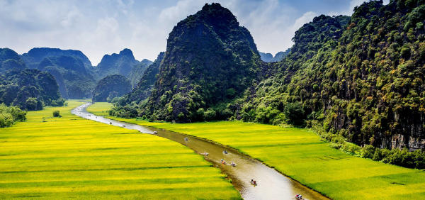 Tam Cốc - Bích Động Ninh Bình mùa lúa Tam Cốc - Bích Động Ninh Bình mùa lúa