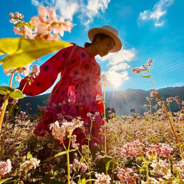 Đà Lạt đẹp bốn mùa hoa 21