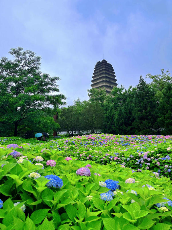 Du lịch Tây An Trung Quốc 05 Du lịch Tây An Trung Quốc 05