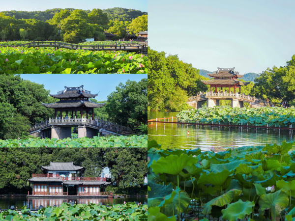 Du lịch Tây Hồ Hàng Châu có gì đẹp? Du lịch Tây Hồ Hàng Châu có gì đẹp?