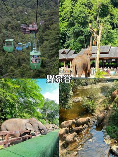 thung lũng voi Tây Song Bản Nạp