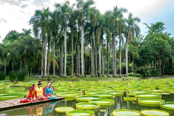 cảnh quan Tây Song Bản Nạp