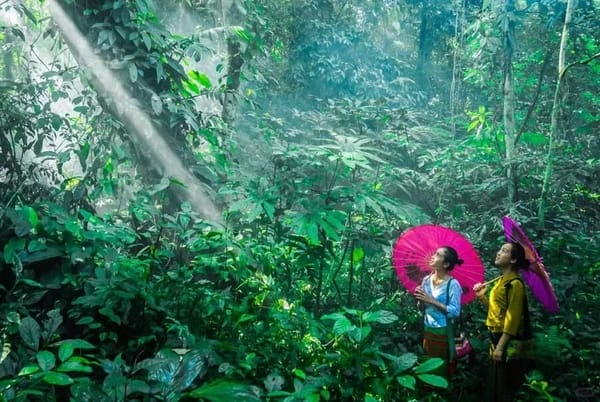 công viên rừng Tây Song Bản Nạp