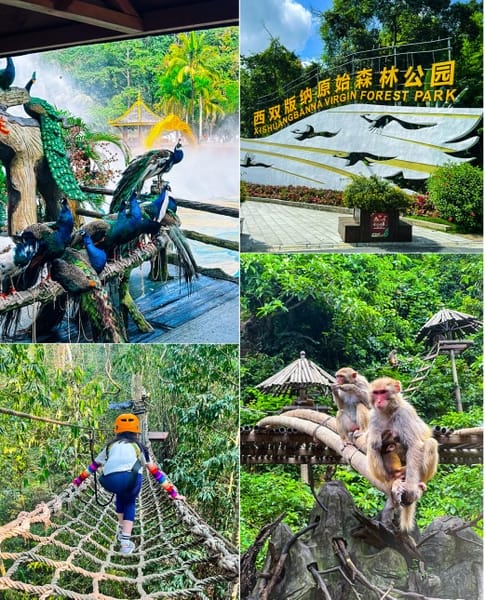 rừng nguyên sinh Tây Song Bản Nạp