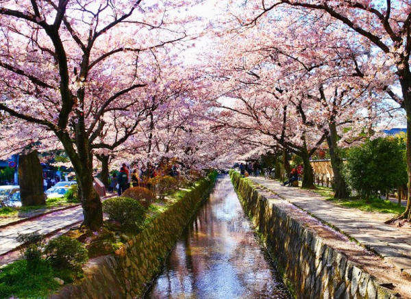Địa điểm du lịch đẹp ở Kyoto 05 Địa điểm du lịch đẹp ở Kyoto 05