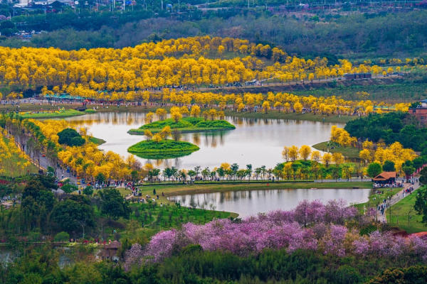 Cổng Đông công viên Thanh Tú Sơn