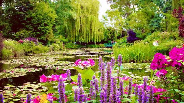 Khu vườn của Monet, Pháp Khu vườn của Monet, Pháp