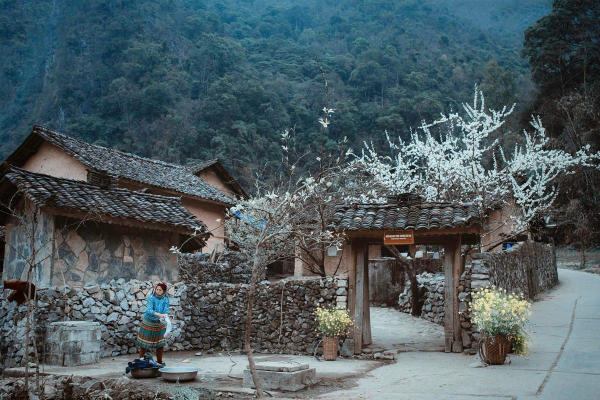 thôn Vân Miêu Đại Lý