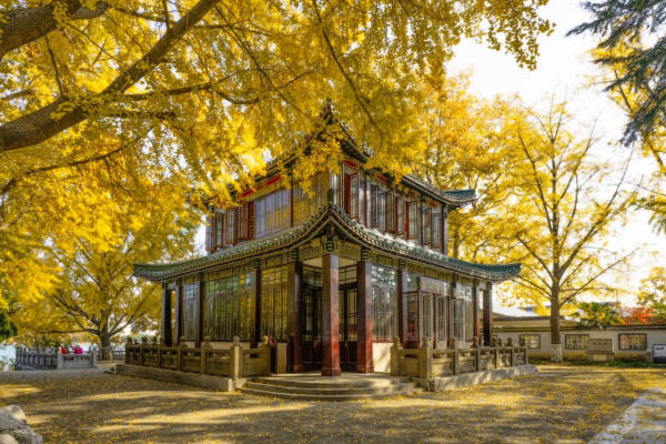 Công viên hồ Huyền Vũ - Nam Kinh