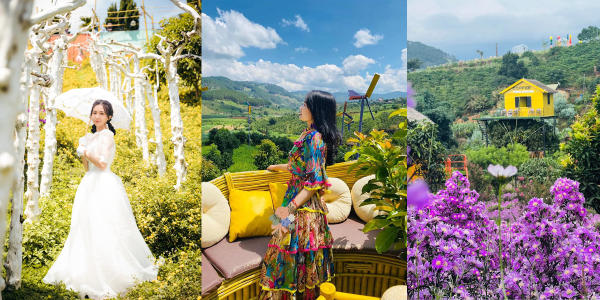 Thung Lũng Hoa Tà Nung Đà Lạt Thung Lũng Hoa Tà Nung Đà Lạt