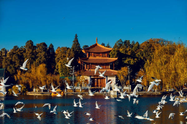 Địa điểm du lịch Côn Minh nổi tiếng Địa điểm du lịch Côn Minh nổi tiếng