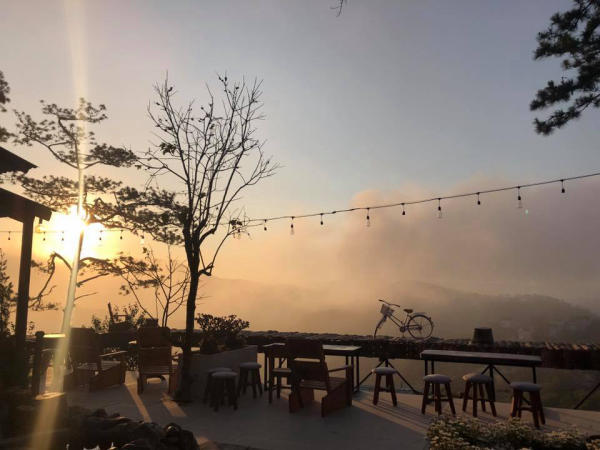 Tổ Chim Homestay & Coffee Tổ Chim Homestay & Coffee