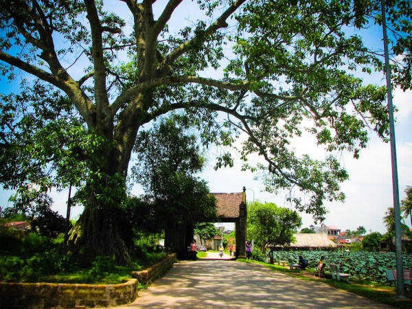 Làng cổ Đường Lâm Làng cổ Đường Lâm