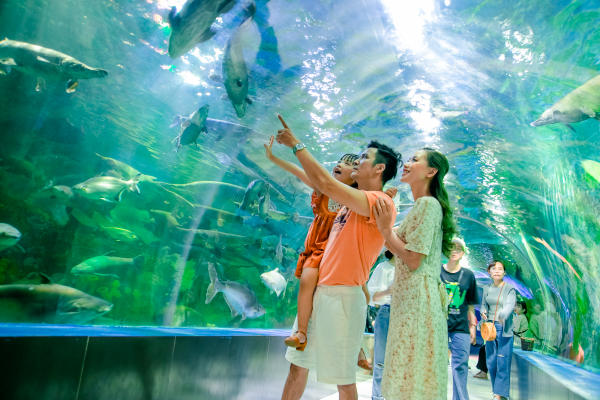 Công viên Thiên Đường Bảo Sơn 01 Công viên Thiên Đường Bảo Sơn 01