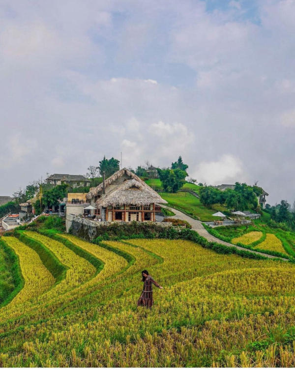 Topas Ecolodge Sapa 01 Topas Ecolodge Sapa 01