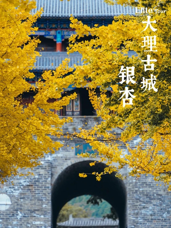 Tour Đại Lý Vân Nam Trung Quốc