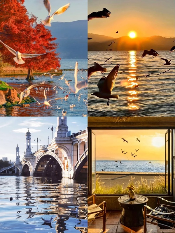 Tour đi Trung Quốc giá rẻ