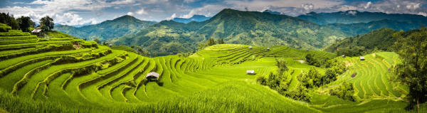 tour hoàng su phì
