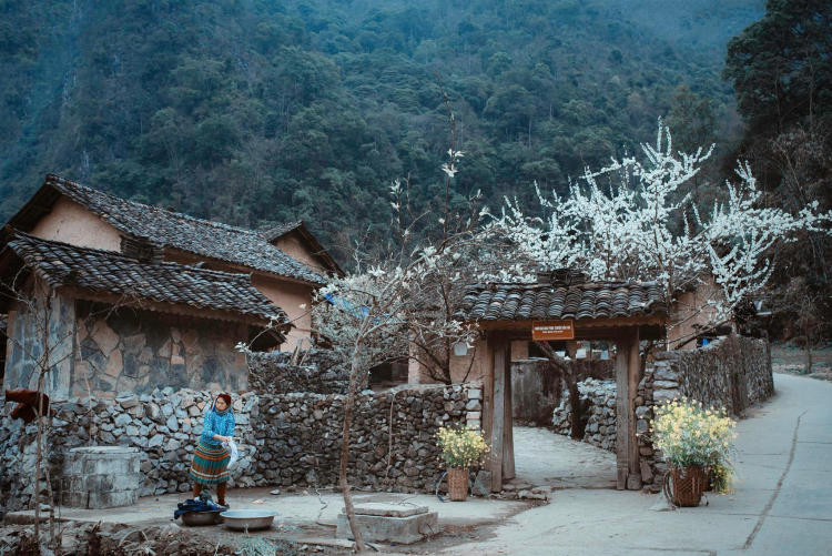 tour hà nội Hà Giang 3 ngày 2 đêm