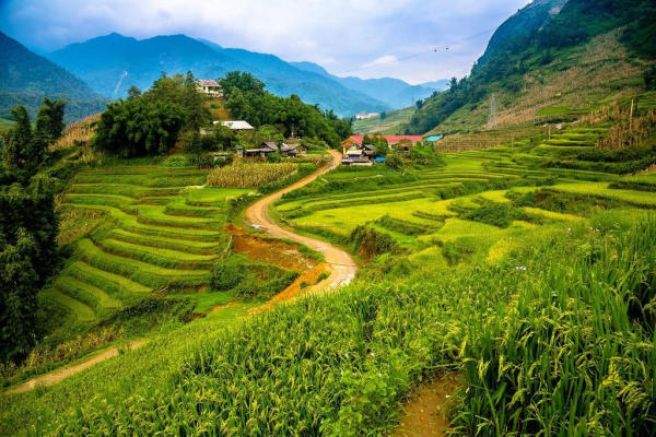 tour du lịch sapa hà giang