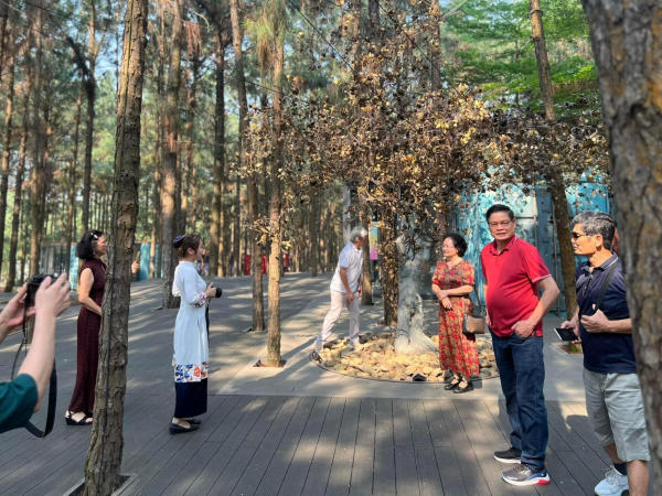 Tour nghệ thuật Art In The Forest Flamingo Đại Lải Tour nghệ thuật Art In The Forest Flamingo Đại Lải