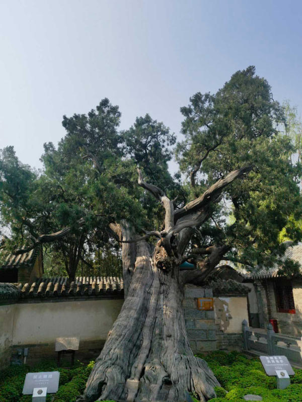 Địa điểm du lịch nổi tiếng Trịnh Châu, Trung Quốc 06 Địa điểm du lịch nổi tiếng Trịnh Châu, Trung Quốc 06