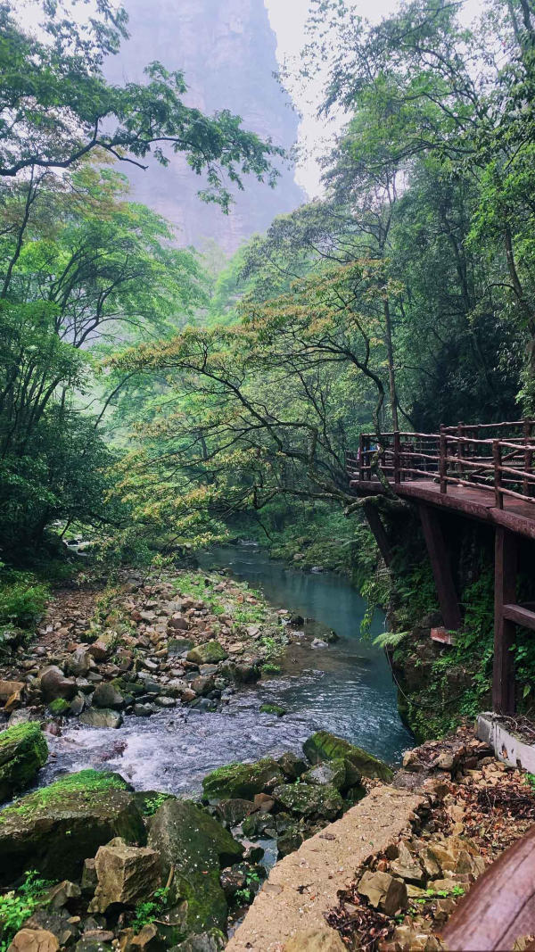 Tour du lịch Trương Gia Giới 05 Tour du lịch Trương Gia Giới 05