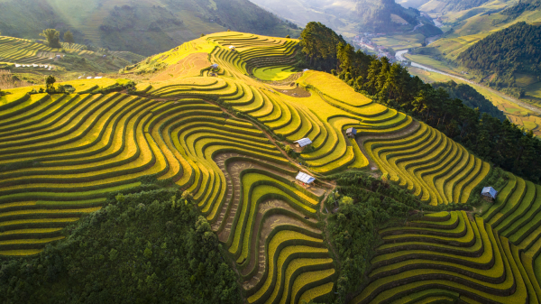 Tú Lệ - Địa điểm du lịch Yên Bái nổi tiếng Tú Lệ - Địa điểm du lịch Yên Bái nổi tiếng