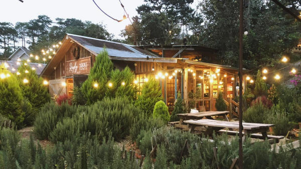 Tiệm cà phê Túi Mơ To - Quán Cafe view đẹp nhất Đà Lạt Tiệm cà phê Túi Mơ To - Quán Cafe view đẹp nhất Đà Lạt