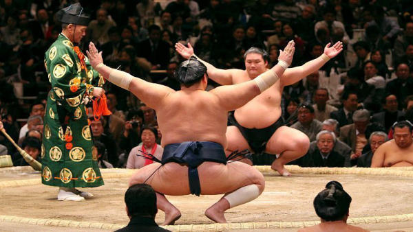 Văn hóa Sumo Nhật Bản Văn hóa Sumo Nhật Bản