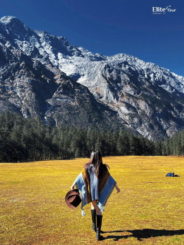 cảnh quan Vân Tam Bình