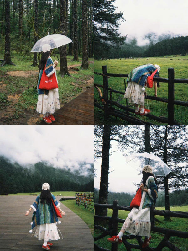 Vân Tam Bình, Lệ Giang