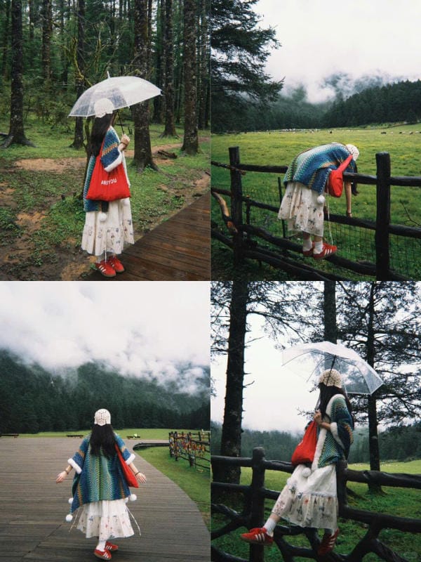Vân Tam Bình, Lệ Giang