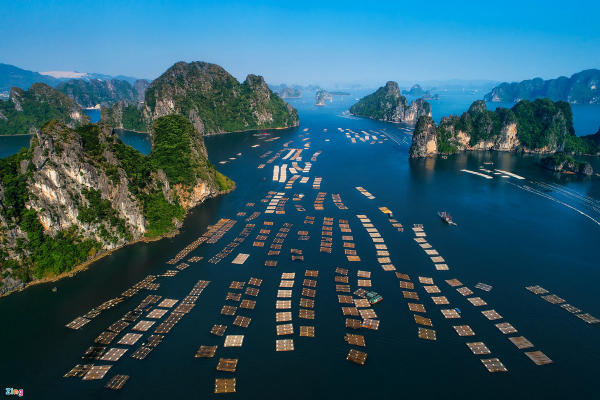 Vịnh Bái Tử Long Quảng Ninh Vịnh Bái Tử Long Quảng Ninh