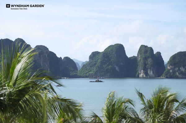 Du lịch vịnh Bái Tử Long Du lịch vịnh Bái Tử Long