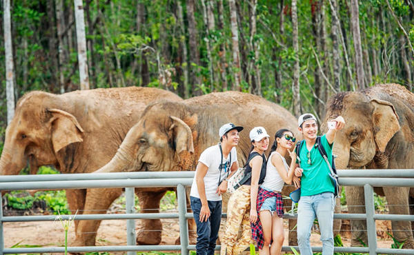 Vinpearl Safari Phú Quốc Vinpearl Safari Phú Quốc