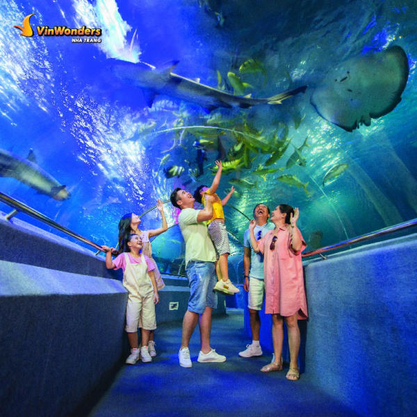Thủy cung Vinpearl Nha Trang Thủy cung Vinpearl Nha Trang