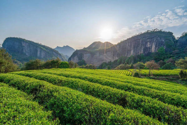 Cảnh đẹp Vũ Di Sơn ở Trung Quốc Cảnh đẹp Vũ Di Sơn ở Trung Quốc