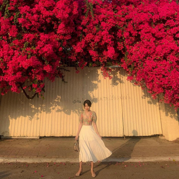 Đặt tour du lịch cho công ty ở Vũng Tàu 01 Đặt tour du lịch cho công ty ở Vũng Tàu 01