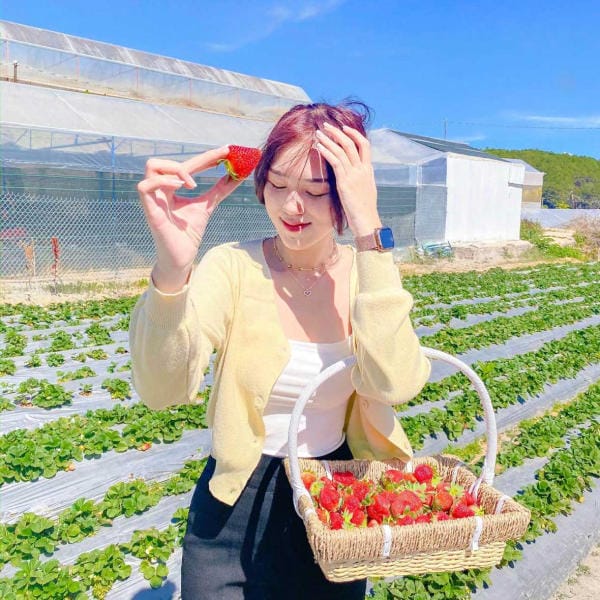 Top 8 điểm check in không thể bỏ lỡ ở thành phố hoa Đà Lạt 16