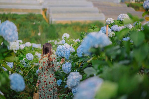 Top 8 điểm check in không thể bỏ lỡ ở thành phố hoa Đà Lạt 23