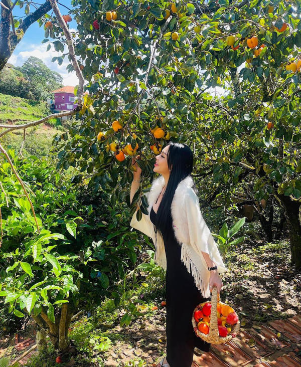 Vườn hồng Đà Lạt – Cà phê Thung Lũng Hồng