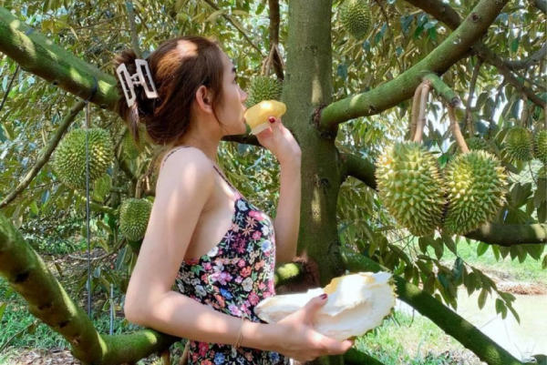 Miệt vườn miền Tây nổi tiếng 02 Miệt vườn miền Tây nổi tiếng 02