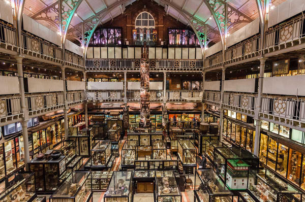 Bảo tàng Pitt Rivers, Oxford - Địa điểm nổi tiếng ở Anh 01 Bảo tàng Pitt Rivers, Oxford - Địa điểm nổi tiếng ở Anh 01