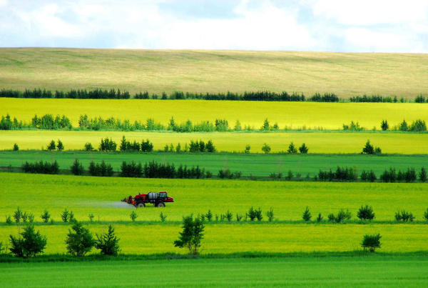 Cảnh đẹp ở Nội Mông, Trung Quốc Cảnh đẹp ở Nội Mông, Trung Quốc