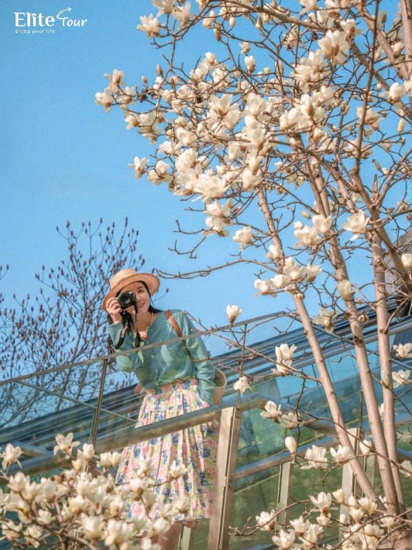 Thời tiết Thượng Hải là kiểu thời tiết gì