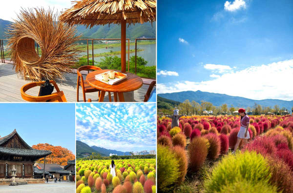 Yangsan - Địa điểm du lịch mùa thu Hàn Quốc nổi tiếng Yangsan - Địa điểm du lịch mùa thu Hàn Quốc nổi tiếng