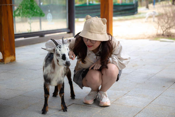 Địa điểm du lịch Quy Nhơn hấp dẫn nhất 21 Địa điểm du lịch Quy Nhơn hấp dẫn nhất 21